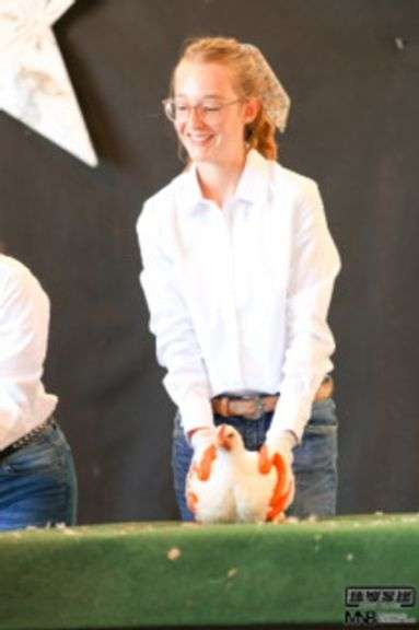Jillian  Arledge  Liberty Livestock