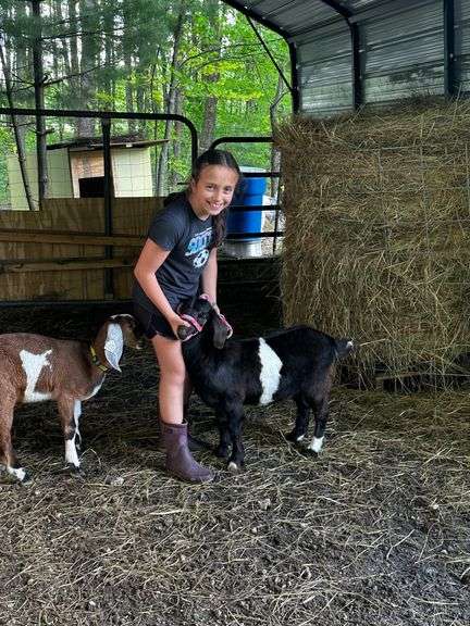 Gracie  Garcia  Animal Express