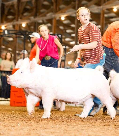 Harper  Woodruff  Blue Ribbon Kids