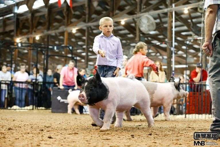 Brant  Williams  Town and Country Kids