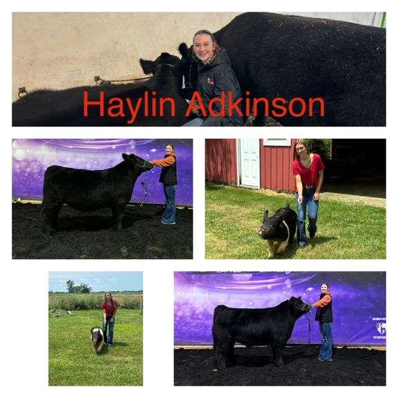 Haylin  Adkinson  Ottawa County Lamb Chops