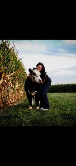 Lilly  Stern  Wilmington FFA