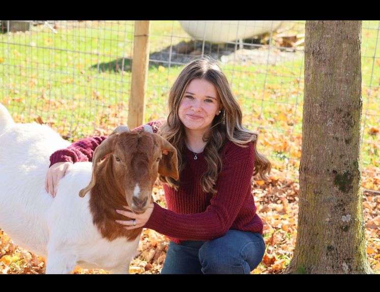 Payten  Wilkin  Liberty Livestock