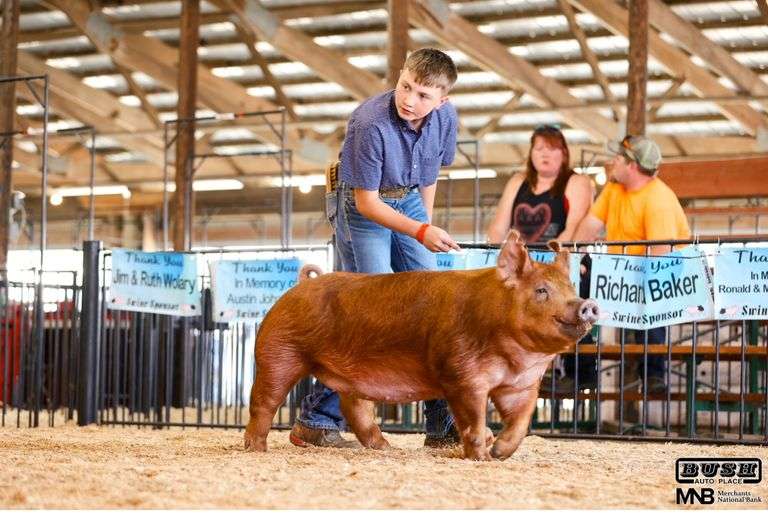 Owen  Smith  - Reserve Champion Market Hog