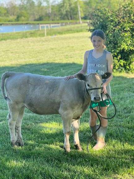 Ava  Stroup  Liberty Livestock