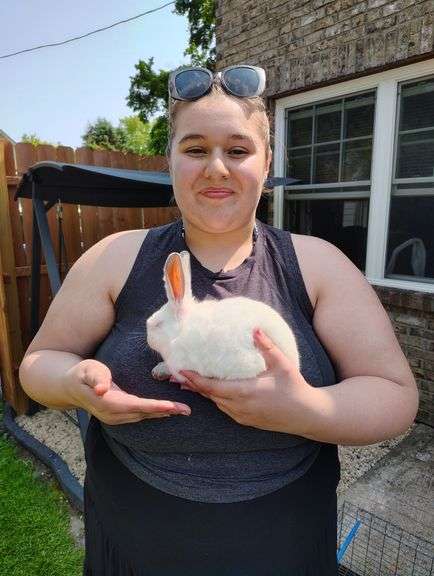 Serenity  Roth-powers  Animals exspress