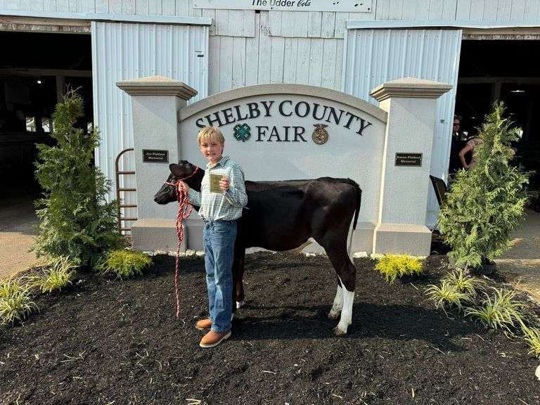 Wyatt  Ashbrook  Scissors to Sheep