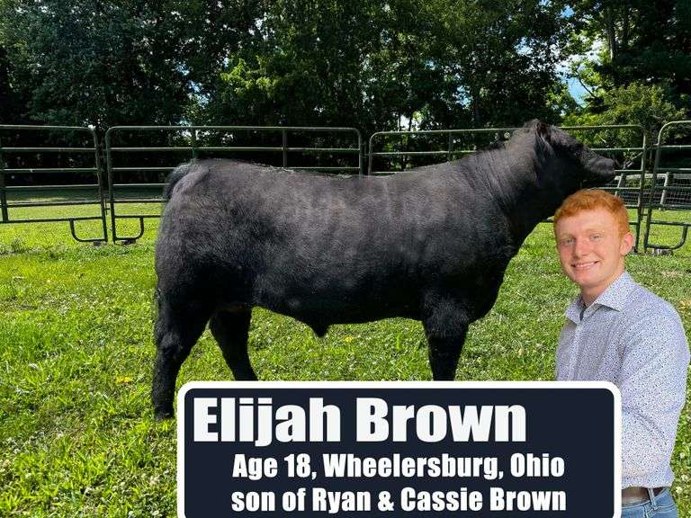 Rate of Gain Steer - Elijah Brown Scioto County Crusaders