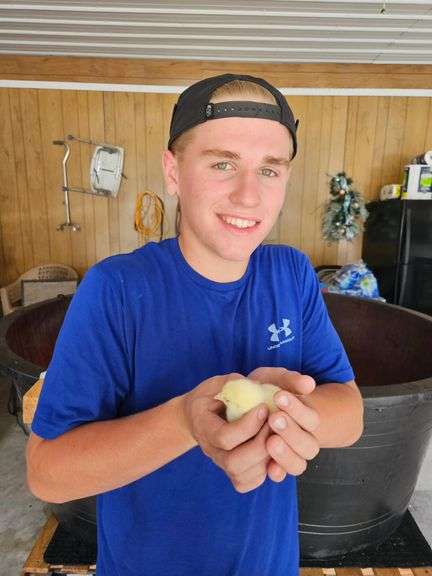 Reserve Champion Chicken - Griffin Allard Animals-R-Us