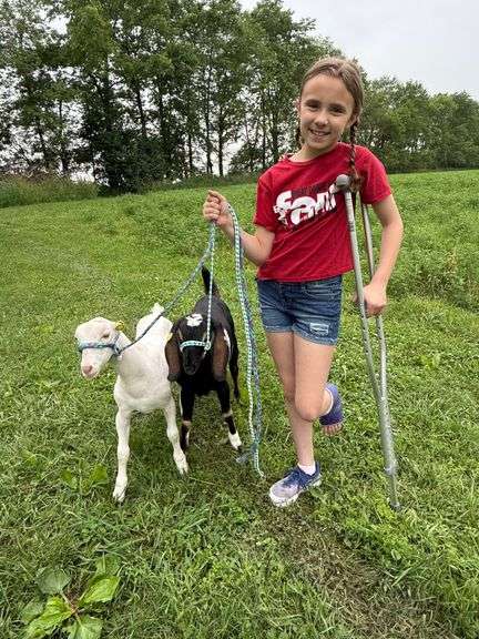 Reserve Grand Champion Dairy Goat Kaisley  McCann  Darke Co. 4-H Beef Club
