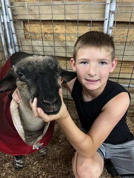 Cody  Barhorst  Anna Livestock