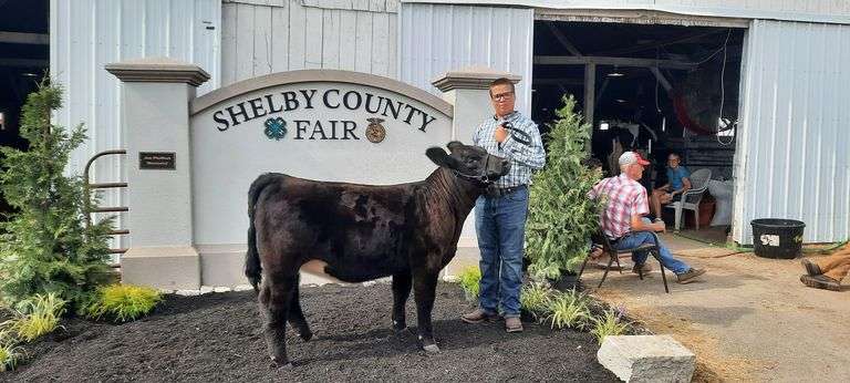 Cole  Aufderhaar  Botkins livestock
