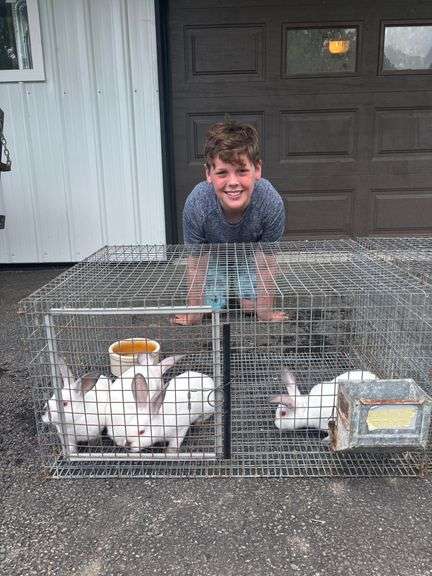 Teddy Bailey Kind Hearted 4H