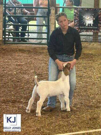 Grand Champion Goat Halle  Hanna  Kreative Kids