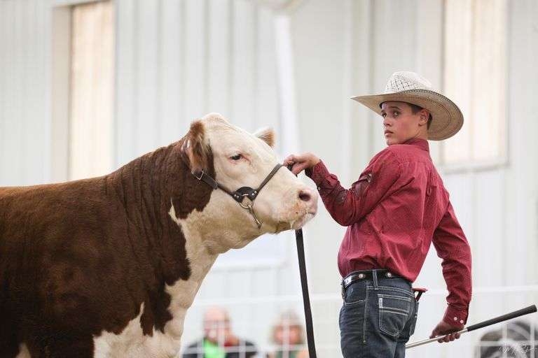 Reserve Champion Market Beef Logan  Brinksneader  Darke County 4-H Beef