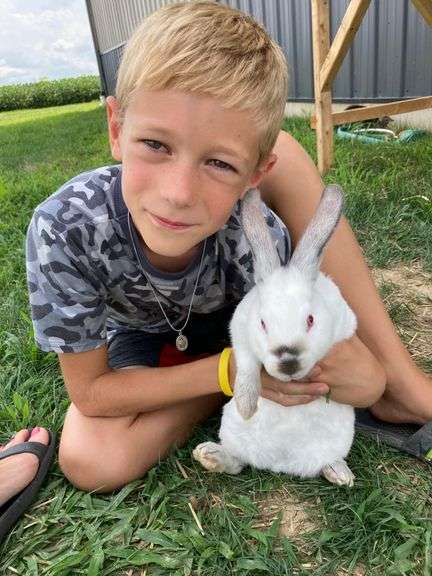 Blake  Barhorst  Kettlersville Livestock