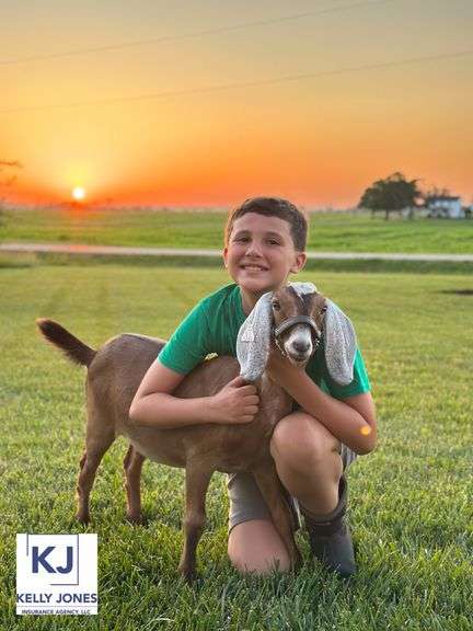 Reserve Champion Chicken Cason  Rector  Ross Champs 4-H Club