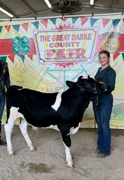 Reserve Champion Dairy Steer Shawna  Schmitmeyer  Versailles FFA