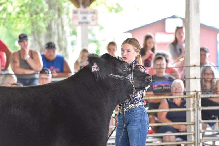 Avery  Barhorst  Anna Livestock