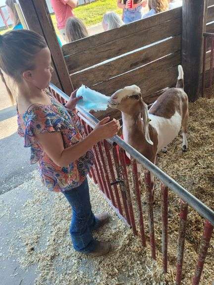 Grand Champion Dairy Goat Addyson  Yount  Kountry Kids