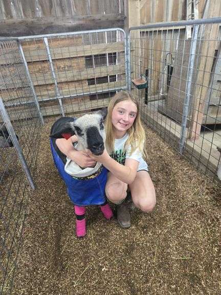 Lillian  Barhorst  Anna Livestock