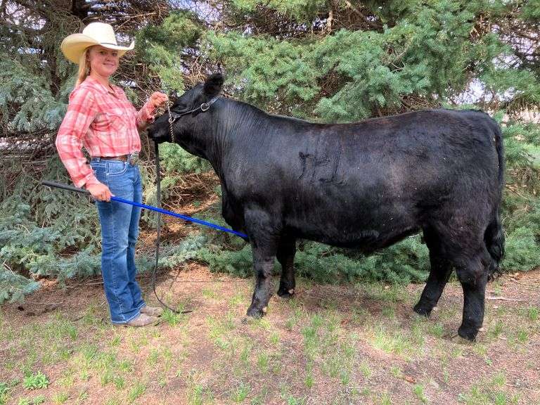 Taylor  Whitney  Colts and Fillies