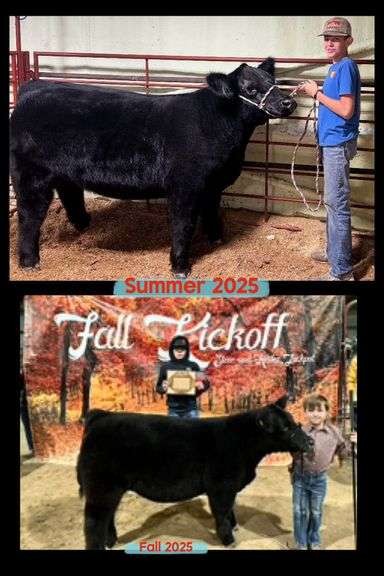 Kasyn  Snyder  Pleasant View 4-H