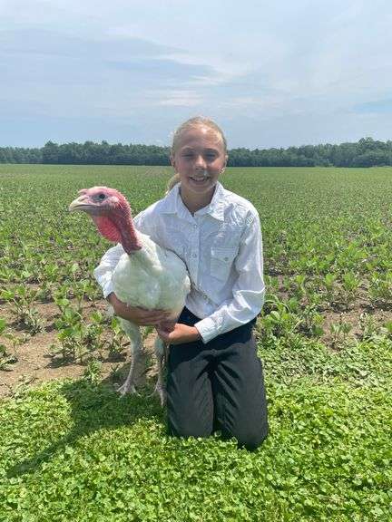 Jenna  Arnold  Henrietta Country Dreamers 4-H Club