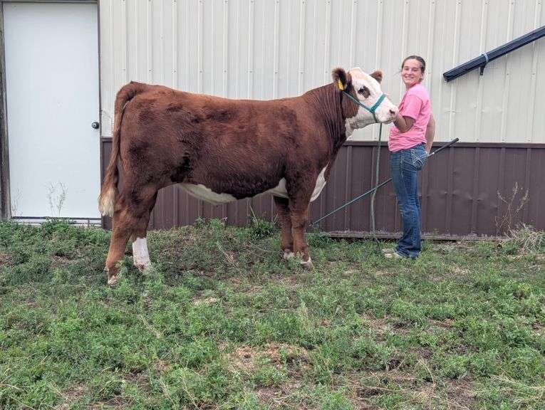 Andie  West  Banner County FFA