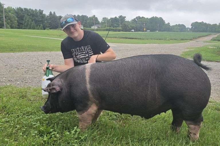 David  Beekman  Lorain County Dairy Club & Wellington FFA