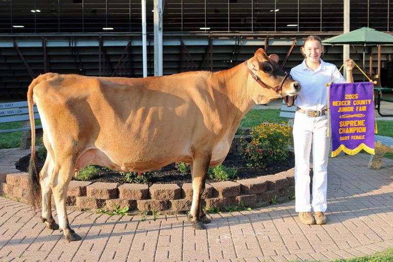 Dairy Cow Milk . These funds are divided up among all Dairy Cow exhibitors.