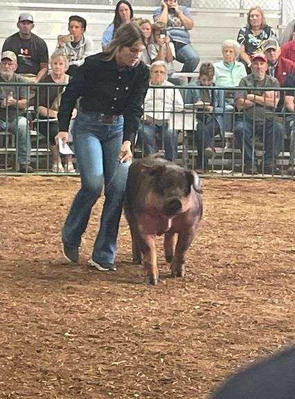 Reserve Grand Champion Boer Goat Aubrey Light Livestock in General Aubrey  Light  Livestock in Gener