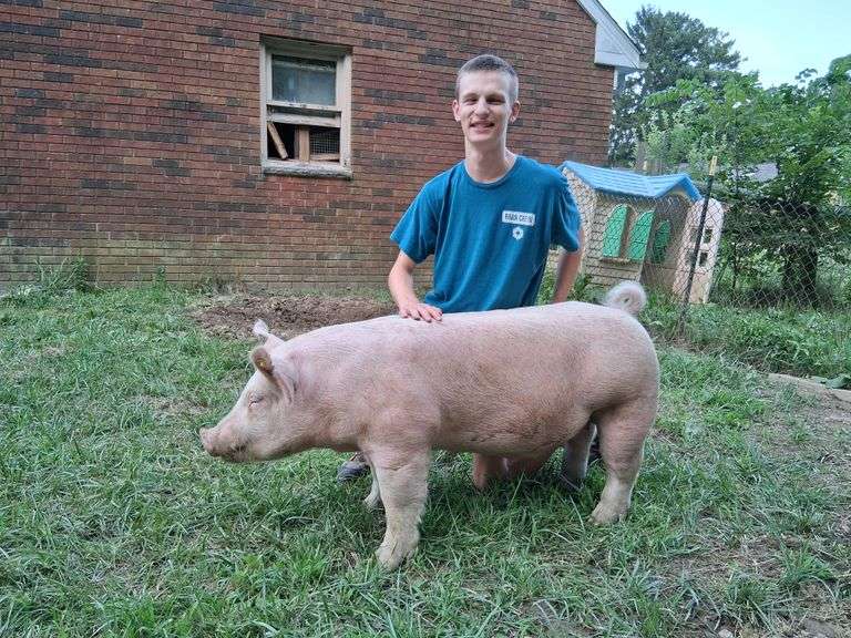 Thomas  Thur  Feathers & Fleece