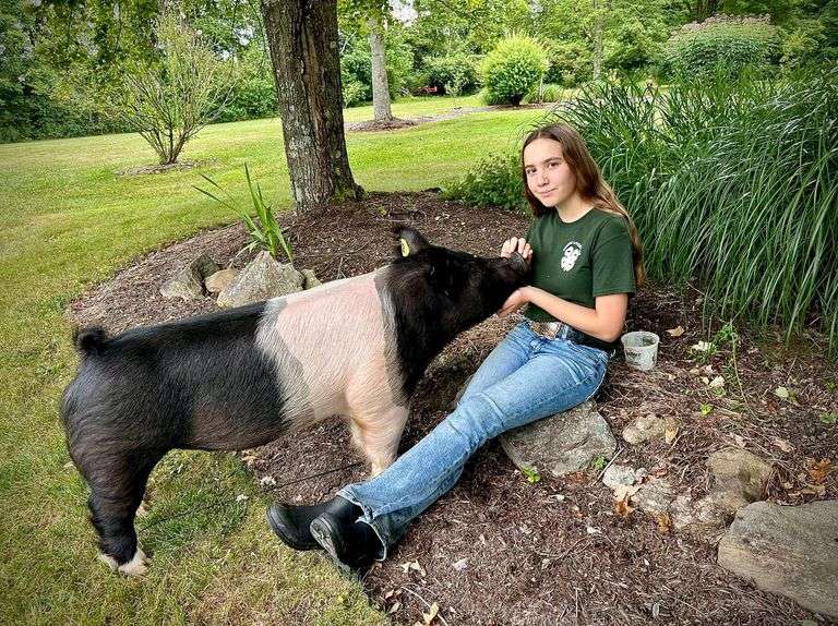 Claire  Welder  Geauga Livestock