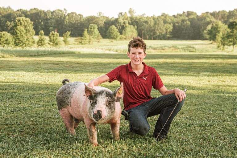 Matthew  Michelson  Flockmasters