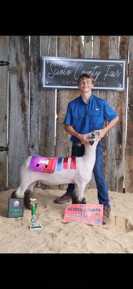 Grand Best Scioto County Sheep - Elijah Evans Green Clovers