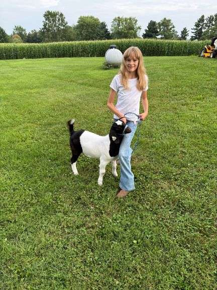 Naomi  Bartos  1st Class Kids & Kritters 4-H Club