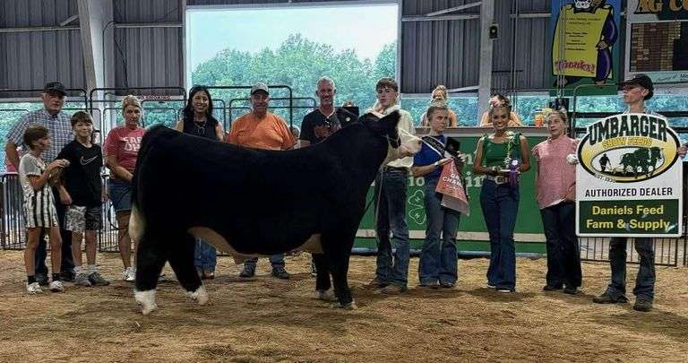 Grand Champion Steer - Emmett Conley Animals R Us