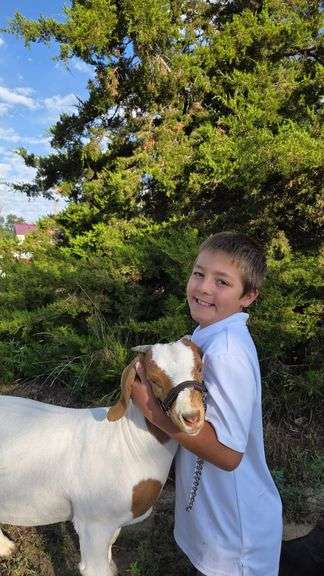 Grady  Autrey  Pleasant View 4-H