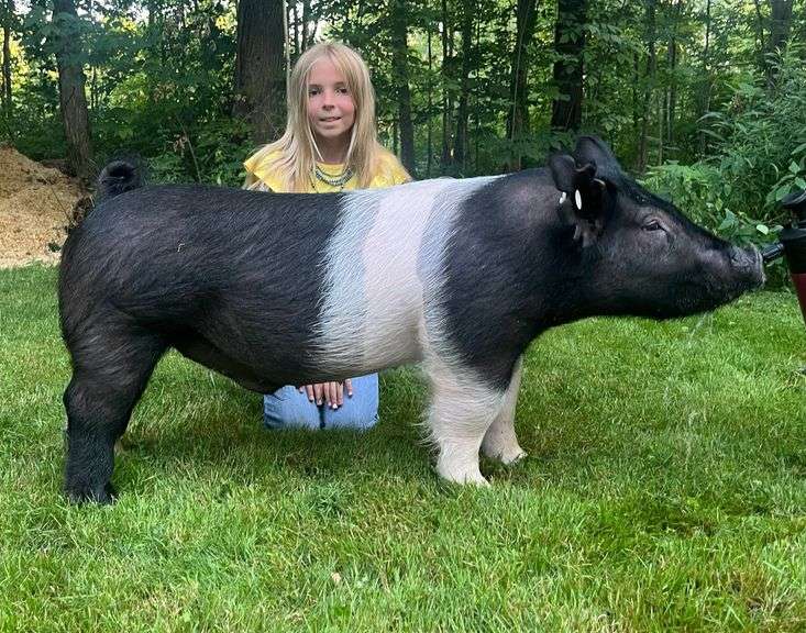 Arianna  Bilicic  Geauga Beef and Swine