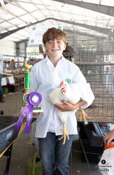 Grand Champion Chicken - Brexton Cole Lyra Livestockers