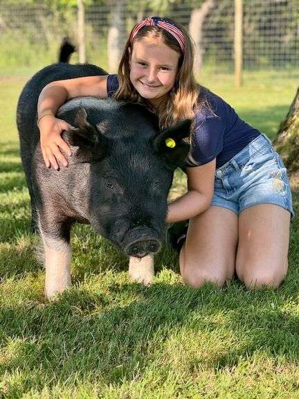 Cheyenne Malone  - RESERVE CHAMPION SWINE  Little Porkers