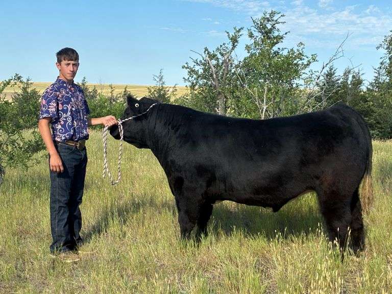 Trey  Cook  Kimball FFA and Pleasant View 4-H