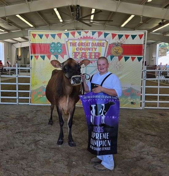 Supreme Champion Dairy Cow  Champion  Jersey Callum  Francis  DC Holstein