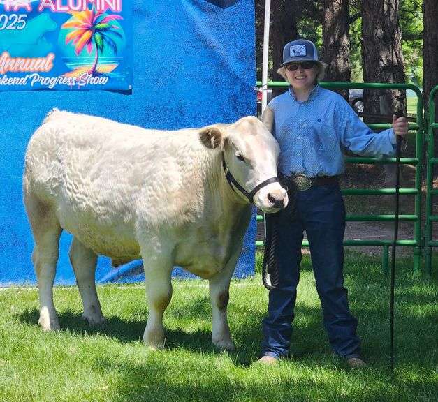 Lane  Cook  Kimball FFA
