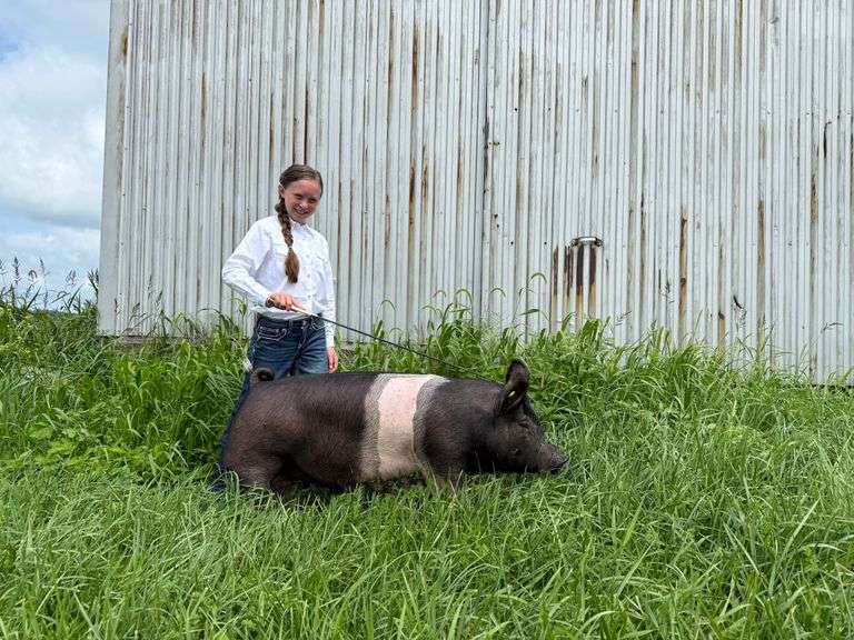 Willow  Baxter  Huntington Highlighters 4-H Club