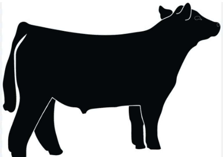 BEEF  BUMP UP  THESE FUNDS ARE DIVIDED AMONG EXHIBITORS IN THE BEEF BARN WITH LOW END BIDS