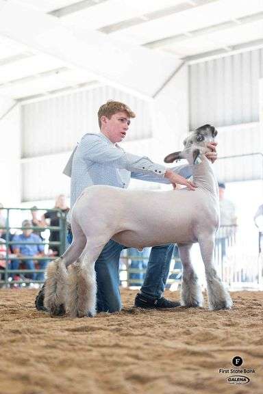 Grand Champion Sheep - Owen Artrip Happy Campers