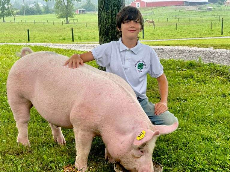 Wyatt  Hostetler  Geauga Caprine Kids