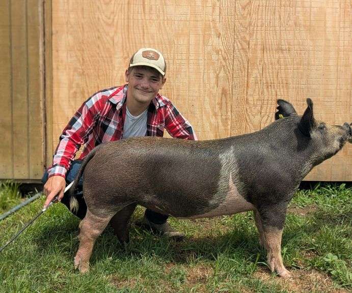 Trent  Holland  Flockmasters